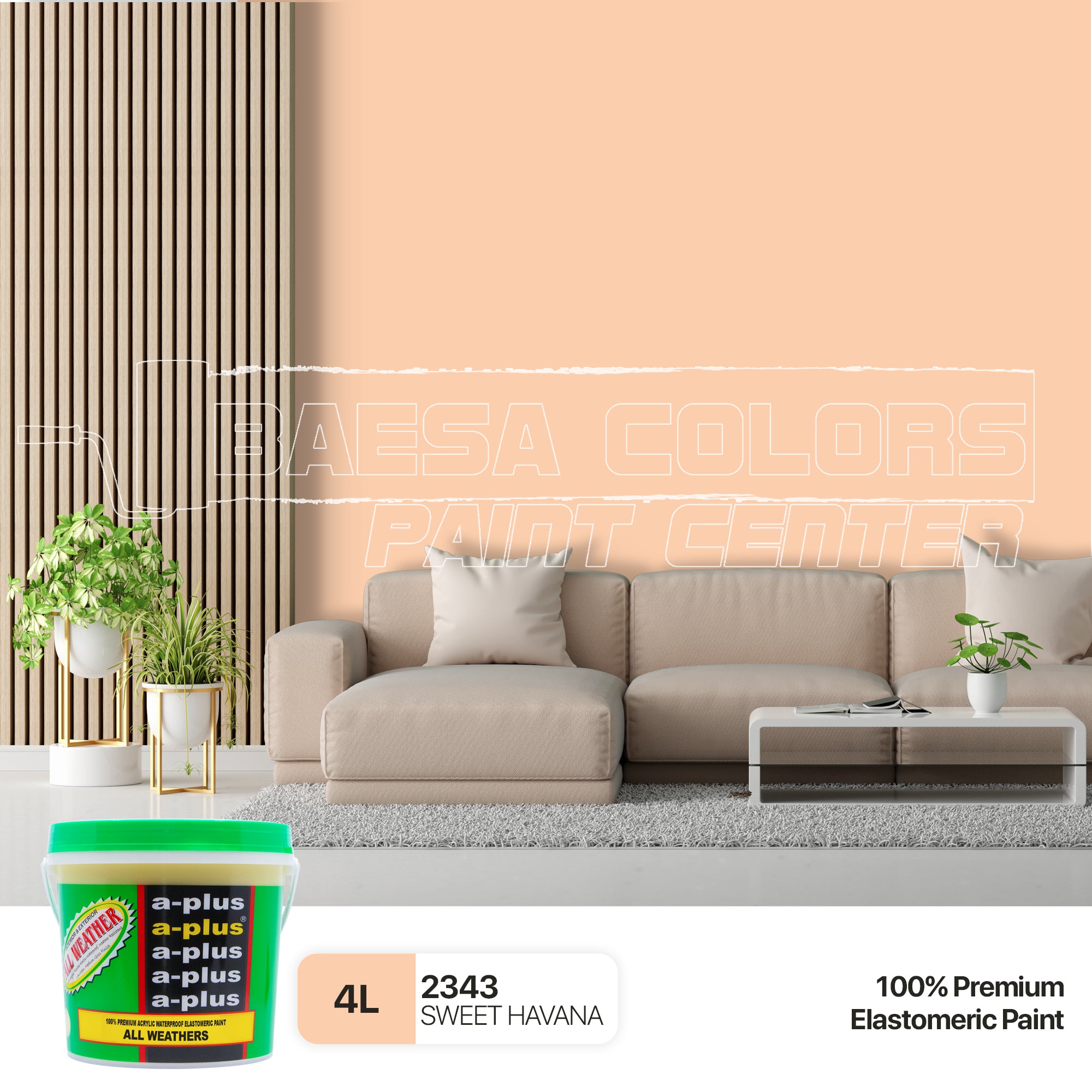 Products – Page 2 – BAESA COLORS PAINT CENTER