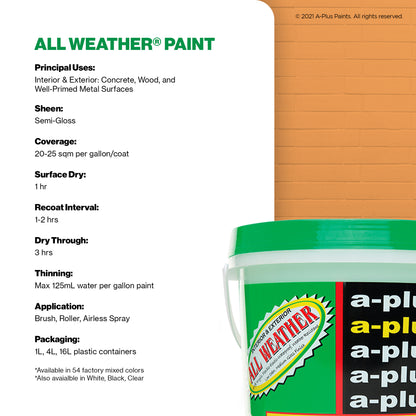 A-Plus All Weather® 2333 Orange Fantasy Elastomeric Paint