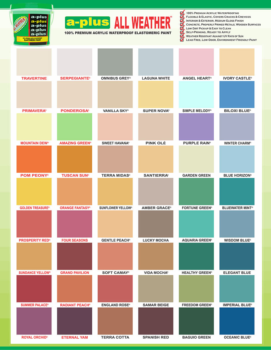 A-Plus All Weather® 2460 Vida Mocha Elastomeric Paint – BAESA COLORS ...