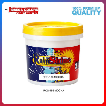 Rain or Shine 186 Mocha Elastomeric Paint