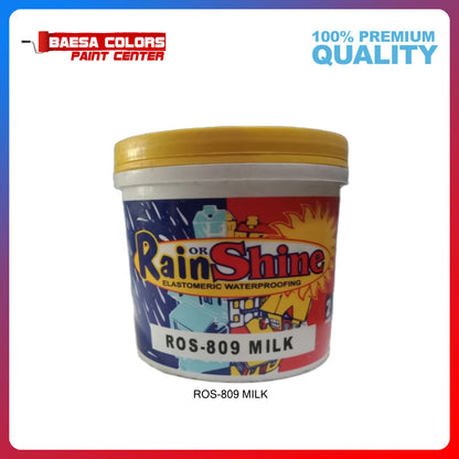 Rain or Shine 809 Milk Elastomeric Paint